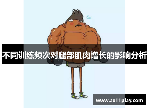 不同训练频次对腿部肌肉增长的影响分析